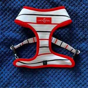Lucy&Co Reversable Dog Harness and Leash Set